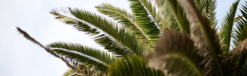 Penice-9887 | Atmosphäre & Natur als Bildsprache moderner Unternehmenskommunikation | Businessfotografie Leipzig