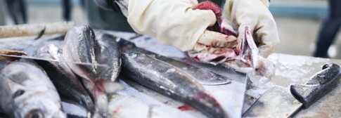 Nazare-9229 | Präzise Arbeitsprozesse und Qualität | Industriefotograf Leipzig