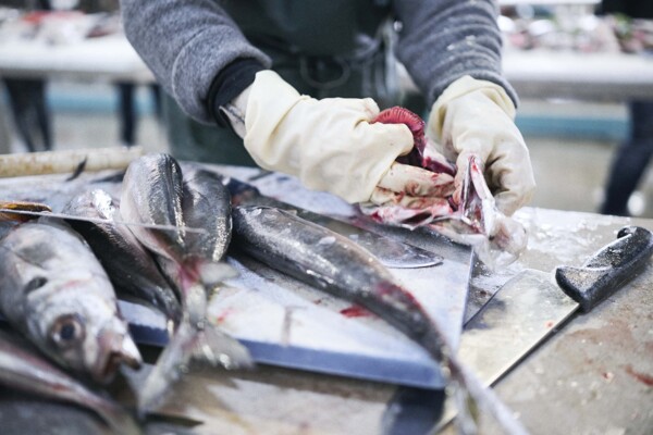 Nazare-9229 | Präzise Arbeitsprozesse und Qualität | Industriefotograf Leipzig