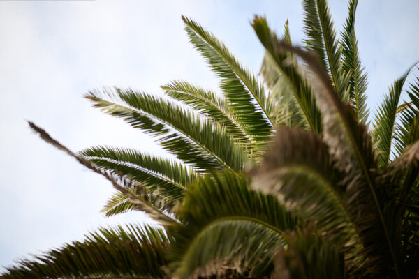 Penice-9887 | Atmosphäre & Natur als Bildsprache moderner Unternehmenskommunikation | Businessfotografie Leipzig