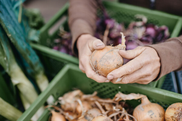 Portraitfotografie-Hohenhaus-Demeter-013387 | Industriefotograf Leipzig – Industrie-Portraitfotografie Mittelstand